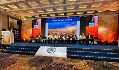 US India Collaborate to Enhance Global Food Security through Agricultural Innovation