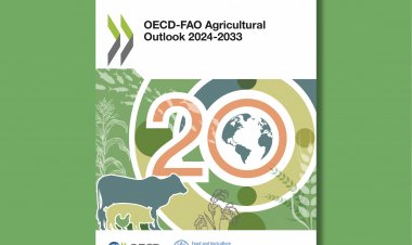 India Poised to Drive Global Agricultural Market Growth, FAO-OECD Report Reveals