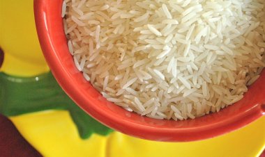 Amid dispute between India and Pakistan over Basmati GI tag, New Zealand rejects India’s application