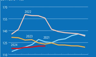 FAO Food Price Index stable in June, Global cereal output to reach an all-time high in 2024