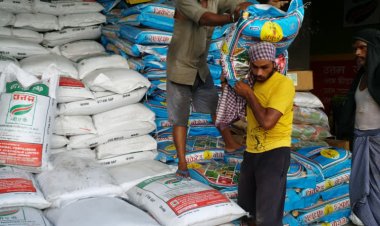 Import price of DAP reaches $560, may affect availability in Rabi if import does not pick up pace