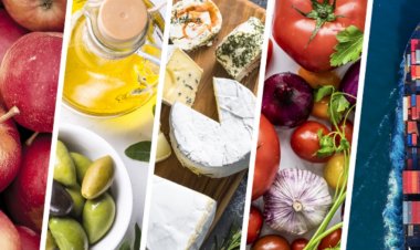 Agricultural Exports Decline by 3.24% in Q1, Impacted by Export Restrictions and Rising Costs