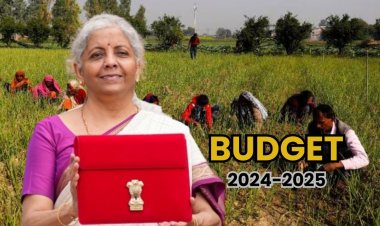 What did farmers get in the budget? Know the major announcements for agriculture and allied sector