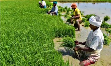 From Rain to Rate Cuts: Mapping the Monsoon’s Ripple Effect on the Economy