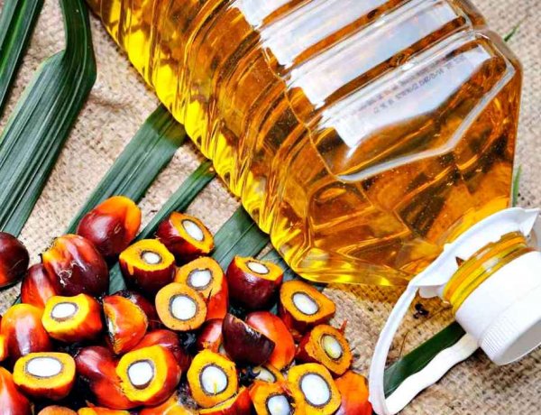 Palm Oil Imports Dip to Three-Month Low in March as Prices Deter Buyers