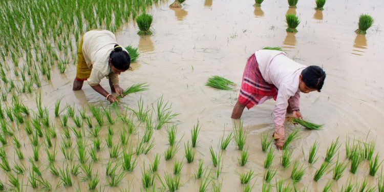 Kharif Season in India – Changing dynamics and emerging perspectives