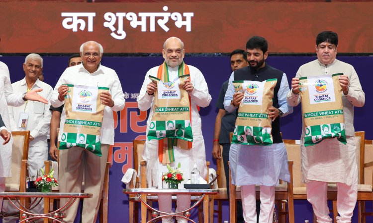 Cooperative Day: New National Cooperative Policy Soon, Says Amit Shah, Gujarat Govt to give Subsidy on Nano Fertilisers