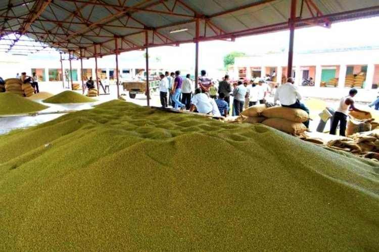 Relief for Moong farmers, daily procurement limit increased to 40 quintals in Madhya Pradesh