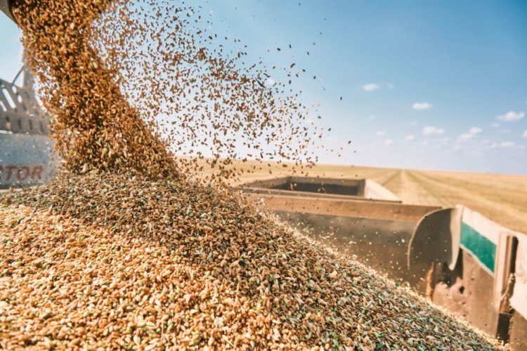 Russia Tightens Grip on Grain Industry Amid US Crop Surplus