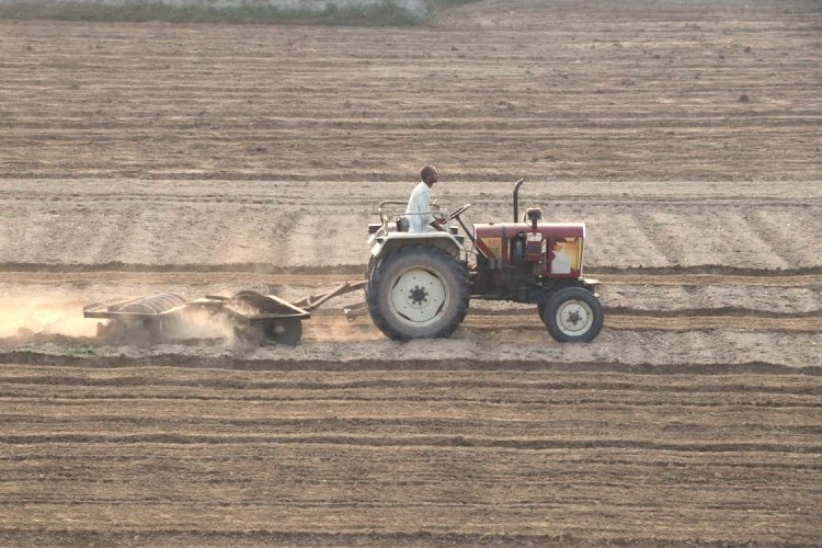 Economic Survey: Agriculture to Drive India's Economic Growth