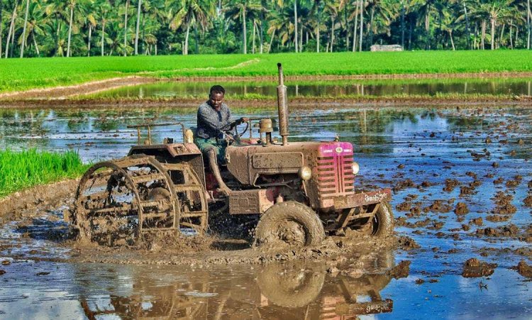 Announcements without money and policy changes, agriculture will not take a big leap?