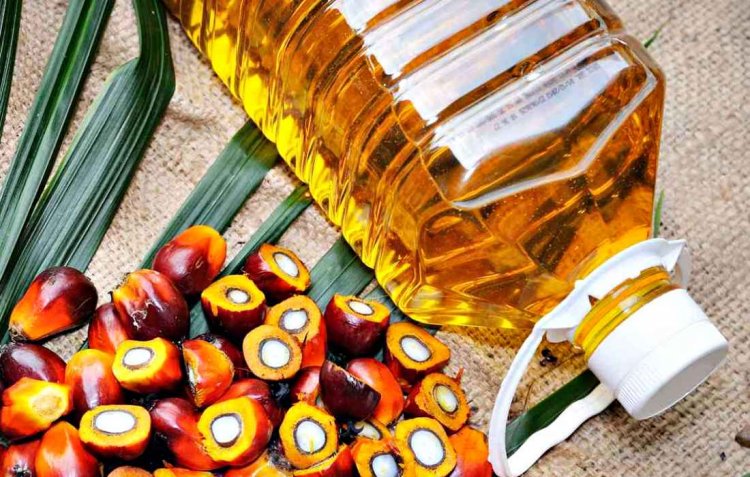 India's edible palm oil industry set for growth amid stable credit profiles: CRISIL Ratings