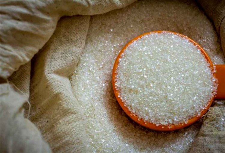 ISMA projects 333 lakh tons gross sugar production for 2024-25 season