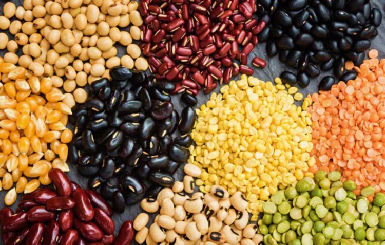 India sees 90 percent increase in pulses import, Export drop by 22 percent in FY 2023-24