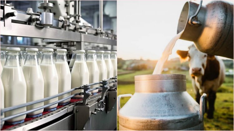 India’s dairy industry revenue expected to rise 13-14 percent this Fiscal Year: CRISIL Ratings