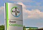 Bayer CropScience Limited's Q3 PBT stood at Rs 113 Crore