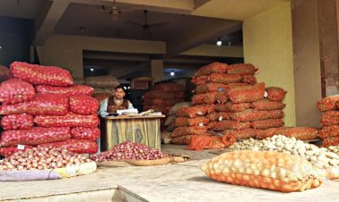 Potato prices drop 55 percent, Farmers struggle with Rs 1800-2000 per quintal