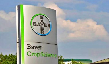 Bayer CropScience sees revenue and profit dip in Q1 amid weather and supply issues