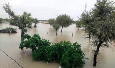Heavy rains cause flood and waterlogging in Punjab, Haryana and Rajasthan