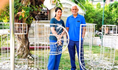 Nitrogen Use Efficient rice varieties and their traits/genes discovered at Indraprastha University