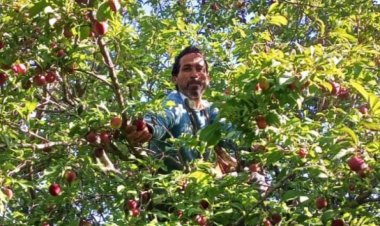 25% of Crops Destroyed in Uttarakhand But Farmers Won't Receive Compensation, Minister Explains Why