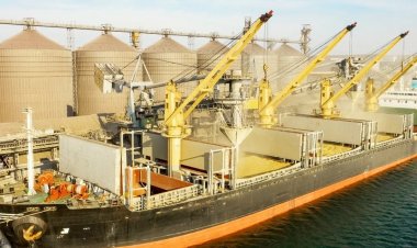 Global Grain Shipping Faces Low Freight Rates but High Uncertainty