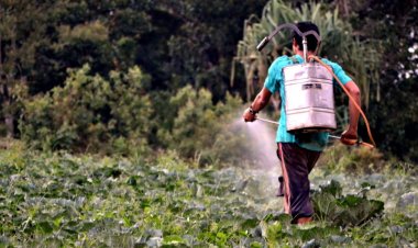 Crystal crop protection launches insecticide for Maize and Soybean