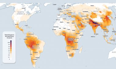 Air Pollution Remains the Greatest External Risk to Human Health: AQLI Report