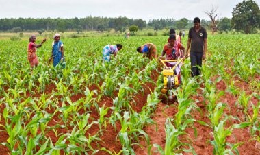 AVPL and DeHaat join forces to bring advanced AgriTech to farmers