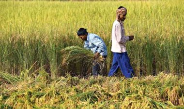 Monsoon season likely to extend, may delay crop harvesting