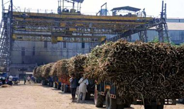NFCSF welcomes government’s ethanol move, urges resolution of long-standing demands
