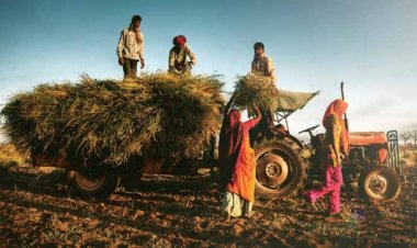 Budget 2024-25: No country for farmers