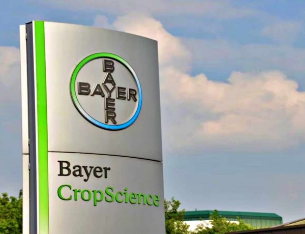 Bayer CropScience Limited's Q3 PBT stood at Rs 113 Crore