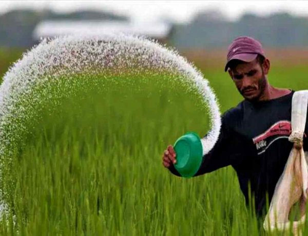 Urea Prices Fall to $390 per Tonne in India’s New Tender, Below Pre-Iran War Levels
