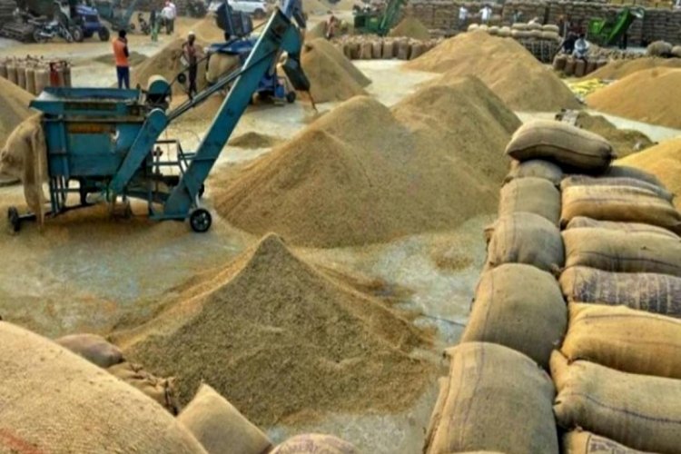 Exporters write to Prime Minister Modi demanding lower MIP for Basmati rice