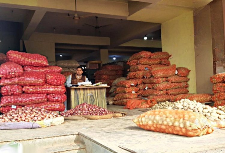 Potato prices drop 55 percent, Farmers struggle with Rs 1800-2000 per quintal