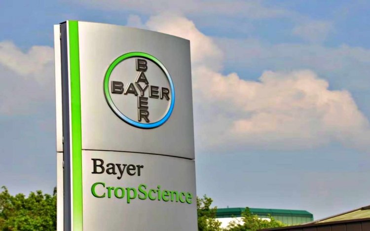 Bayer CropScience sees revenue and profit dip in Q1 amid weather and supply issues