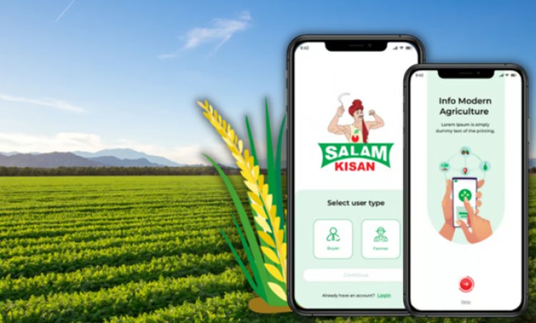 Salam Kisan Achieves Rs 23.61 Crore Revenue in FY 2024