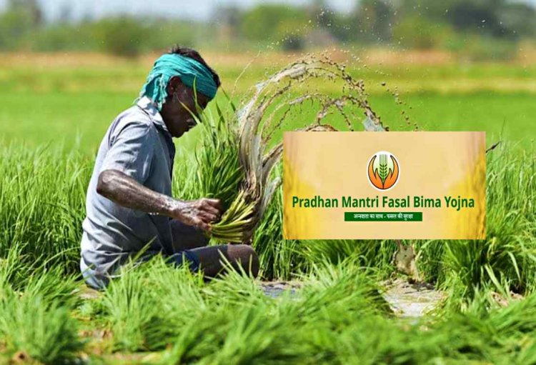 PM Fasal Bima Yojana deadline extended to august 31 for Karnataka, Assam, and four other states