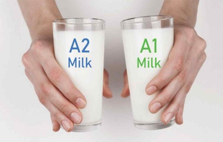 FSSAI withdraws its order on A1 and A2 milk products