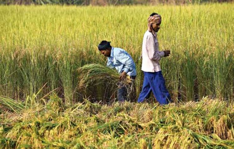 Monsoon season likely to extend, may delay crop harvesting