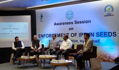 Indian seeds industry advocates for stronger intellectual property rights enforcement