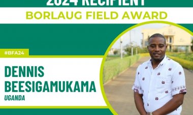 Ugandan Scientist Dr Dennis Beesigamukama named for 2024 Borlaug Field Award