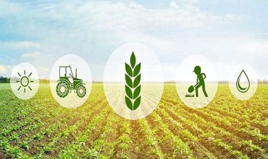 Walmart foundation awards $ 2.78 million to boost agricultural tech in India