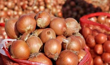 Onion Prices Surge by 20 Percent After Government Eases Export Restrictions