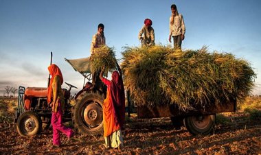 Govt. Merges PSS and PSF Under PM AASHA for Better Farmer and Consumer Support