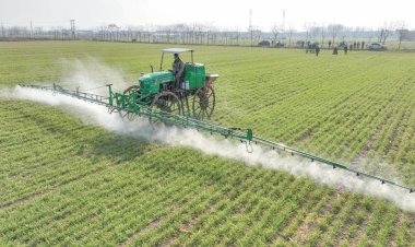 To Boost Agricultural Exports Russia Aims to Expand Arable Land