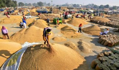 Record wheat and rice production boosts food grain output by 26.11 lakh tonnes for 2023-24