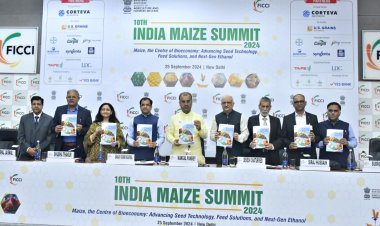 Experts call for advancements in hybrid seeds and technology in India's maize sector