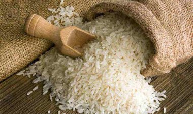 Agri Exports Cushion Trade in FY25; Monsoon May Drive FY26 Gains